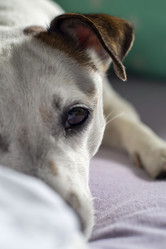 Similar image 21504553