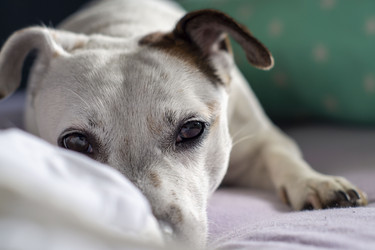 Similar image 21504554