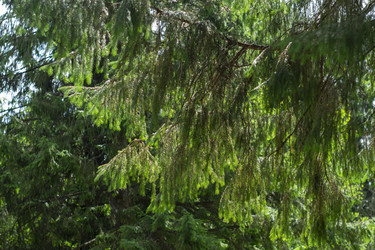 Similar image 21504555