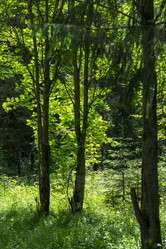 Similar image 21504556