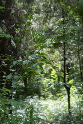 Similar image 21504557