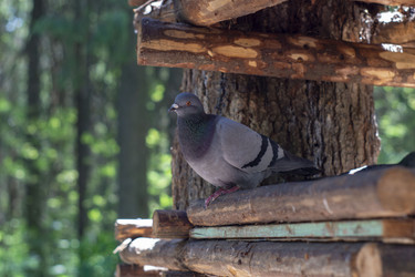 Similar image 21504558