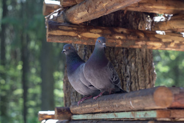 Similar image 21504559