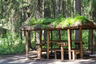 Similar image 21504561