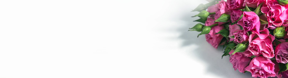 Similar image 21507621