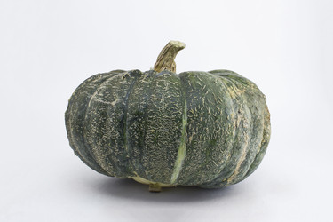 Similar image 21507685