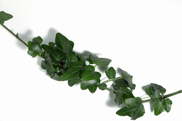 Similar image 21507689