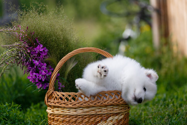 Similar image 21505920