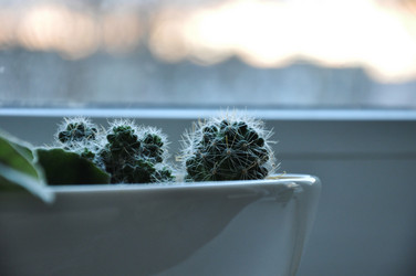 Similar image 21516827