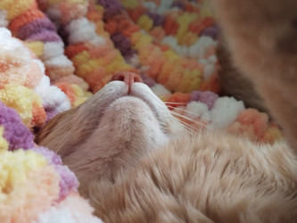 Similar image 21516828