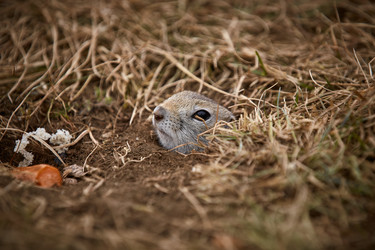 Similar image 21504565