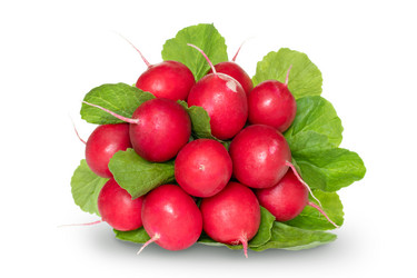 Similar image 21504567