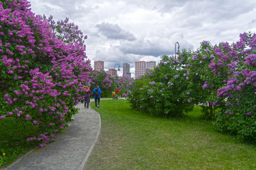 Similar image 21504571