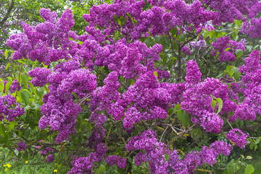 Similar image 21504572