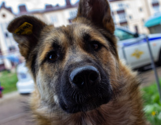 Similar image 21504589