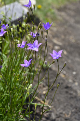 Similar image 21504776