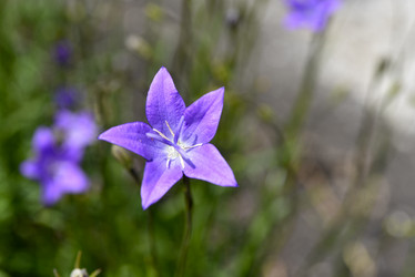 Similar image 21504777