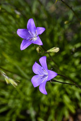 Similar image 21504779