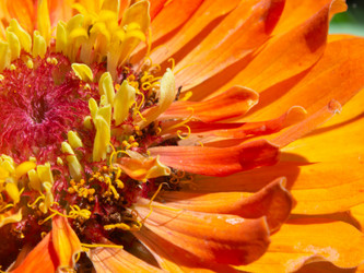 Similar image 21504608