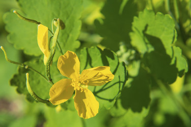 Similar image 21504611