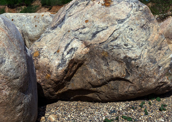 Similar image 21504619