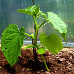 Similar image 21504621