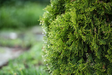 Similar image 21510585