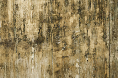 Similar image 21504781