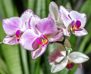 Similar image 21504784