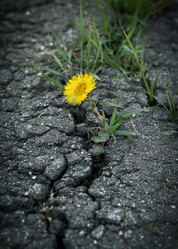 Similar image 21505511