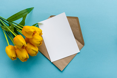 Similar image 21510620