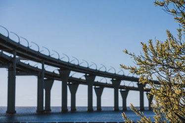 Similar image 21510661