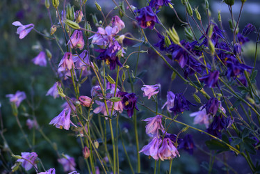 Similar image 21505133