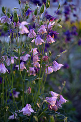 Similar image 21505134