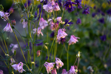 Similar image 21505137