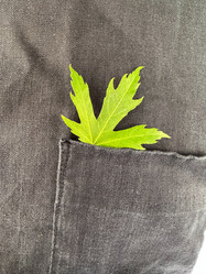 Similar image 21505921