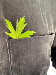 Similar image 21505922