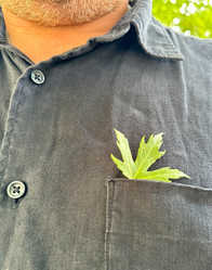 Similar image 21505923