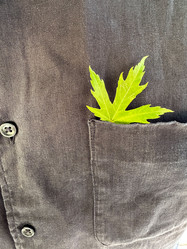 Similar image 21505924