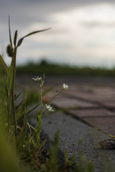 Similar image 21505563