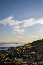 Similar image 21505565