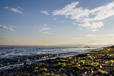 Similar image 21505566