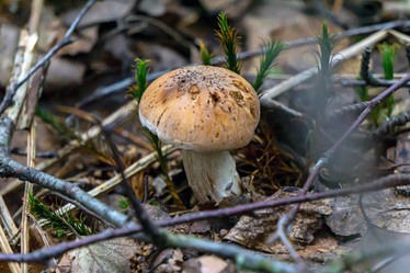 Similar image 21505166