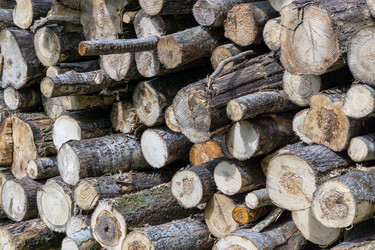 Similar image 21505167