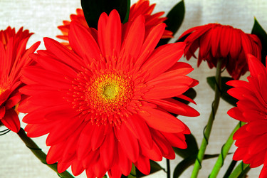 Similar image 21505172