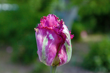 Similar image 21505176