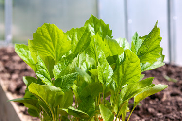 Similar image 21505178