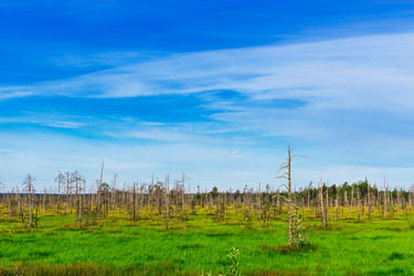 Similar image 21505414