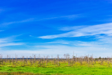 Similar image 21505416