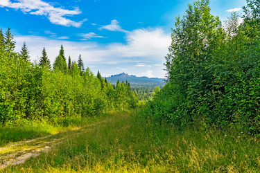 Similar image 21505433